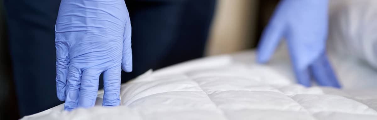 Protège matelas anti punaise de lit : quel choix ?
