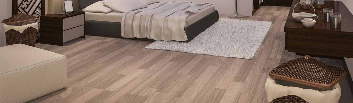 Comment éliminer facilement les punaises de parquet ?