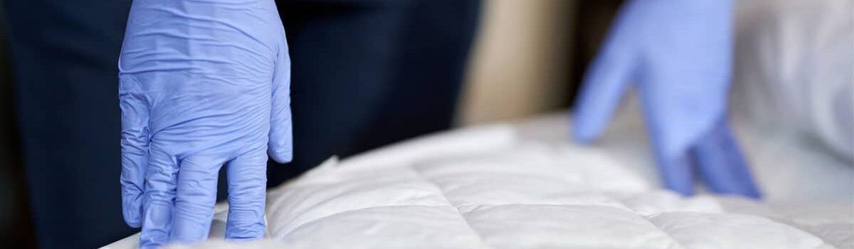 Comment enlever les punaises de lit sur un matelas ?