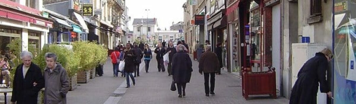 Quelles techniques pour l’éradication des punaises de lit à Bourg-la-Reine 92340 ?