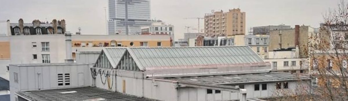 Quelles options pour l’élimination des punaises de lit à Clichy 92110 ?