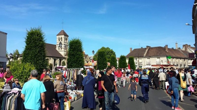 Traitement punaise de lit à Deuil-la-Barre 95170