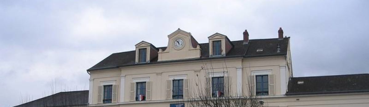 Quelles solutions pour l’élimination des puces de lit à Montereau-Fault-Yonne 77130 ?