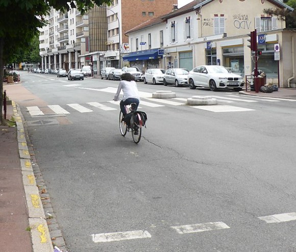 Traitement punaise de lit à Sceaux 92330