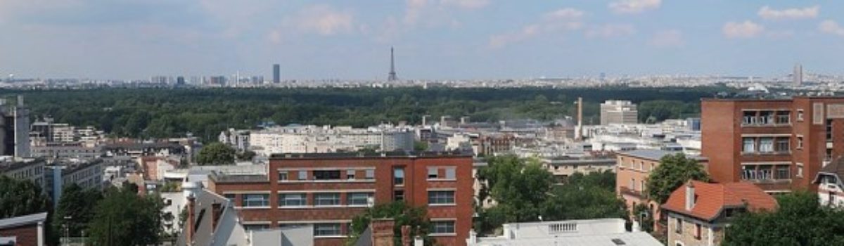 Quelles techniques pour la suppression des puces de lit à Suresnes 92150 ?