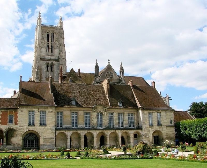 Traitement punaise de lit Seine-et-Marne 77